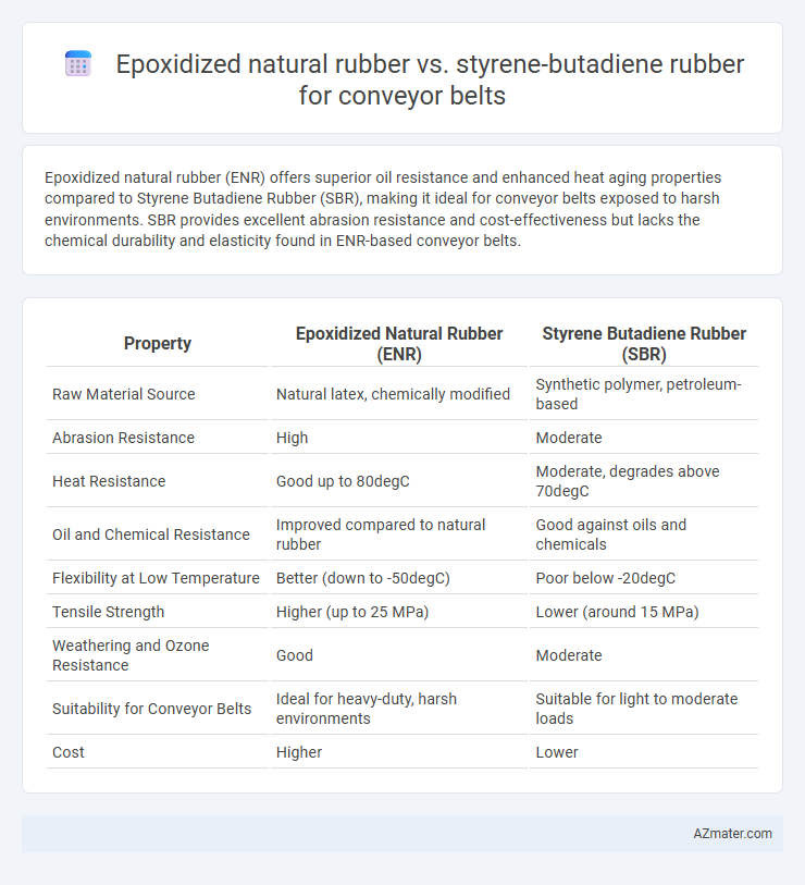 Epoxidized natural rubber vs. styrene-butadiene rubber for conveyor belts - What is The Difference?