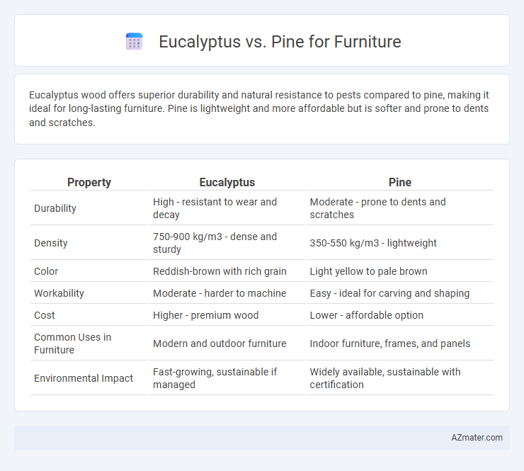 Eucalyptus vs. Pine for Furniture - What is The Difference?