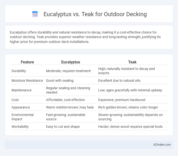 Eucalyptus vs. Teak for Outdoor Decking - What is The Difference?