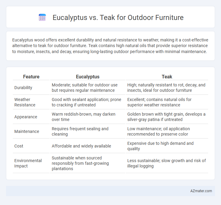 Eucalyptus vs. Teak for Outdoor Furniture - What is The Difference?