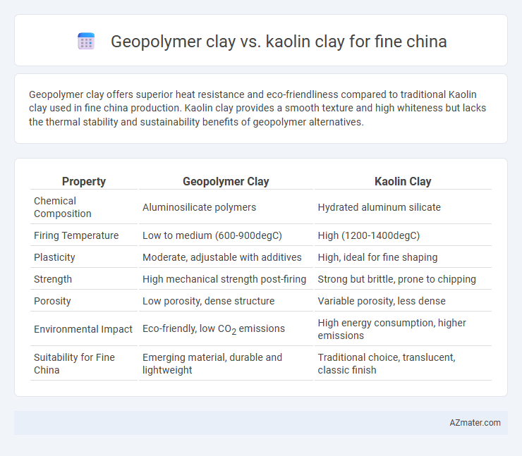 Geopolymer clay vs. kaolin clay for fine china - What is The Difference?
