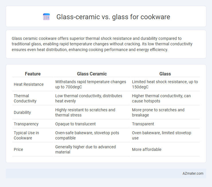 Glass-ceramic vs. glass for cookware - What is The Difference?