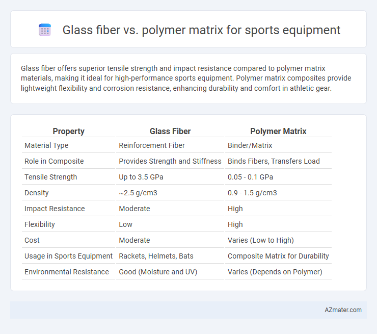 Glass fiber vs. polymer matrix for sports equipment - What is The Difference?