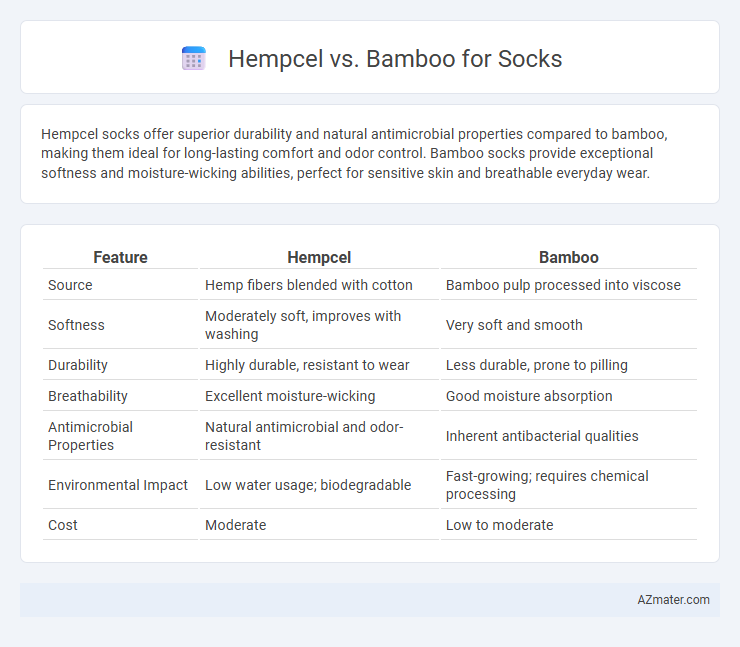 Hempcel vs. Bamboo for Socks - What is The Difference?