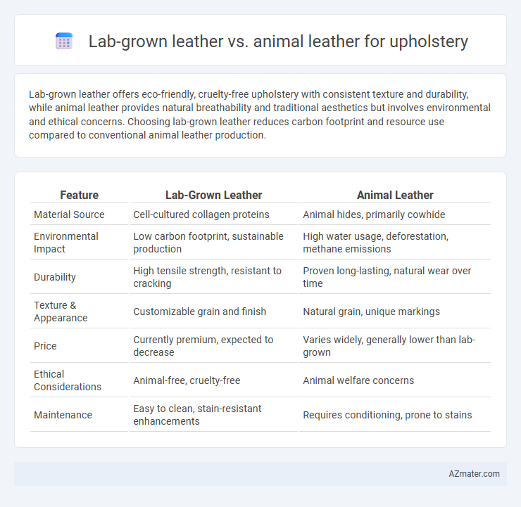 Lab-grown leather vs. animal leather for upholstery - What is The Difference?