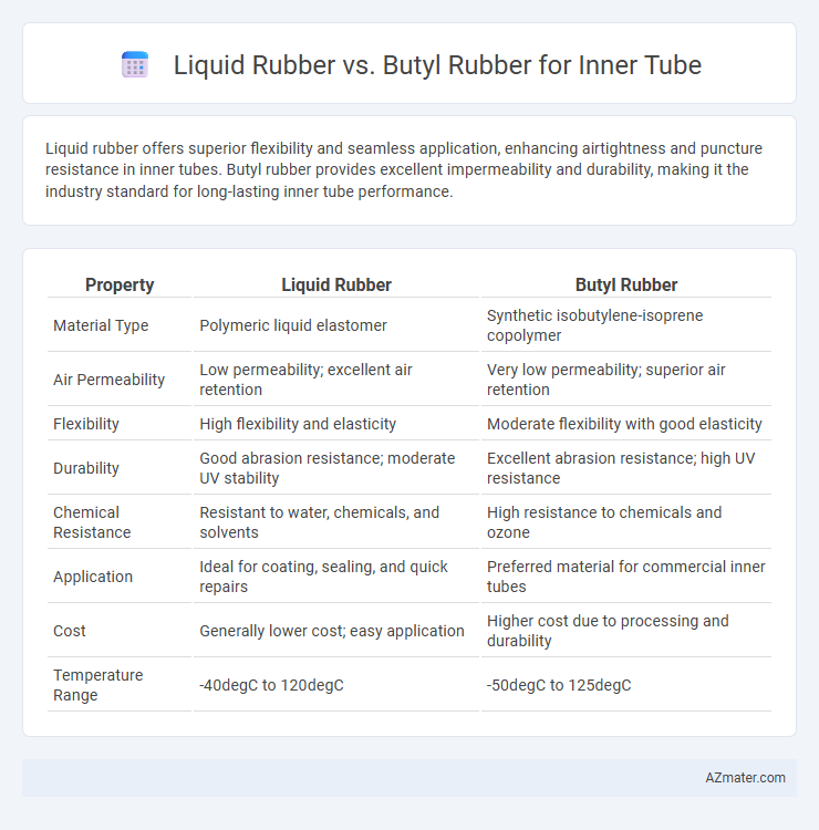 Liquid Rubber vs. Butyl Rubber for Inner Tube - What is The Difference?