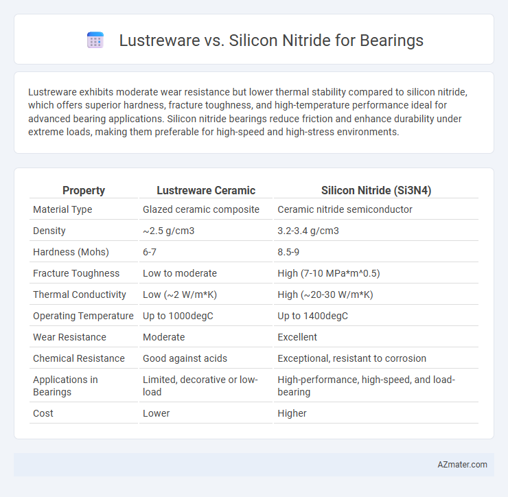 Lustreware vs. Silicon Nitride for Bearings - What is The Difference?