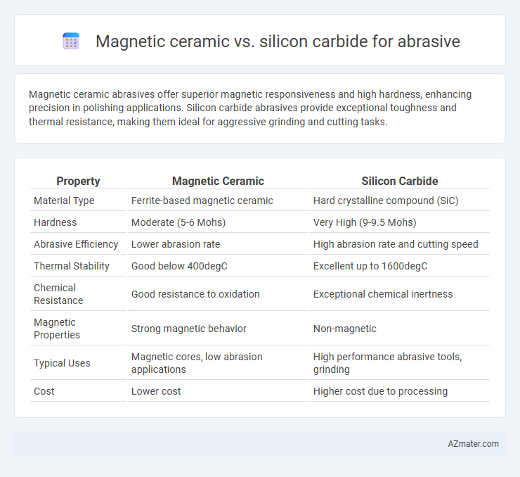 Magnetic ceramic vs. silicon carbide for abrasive - What is The Difference?