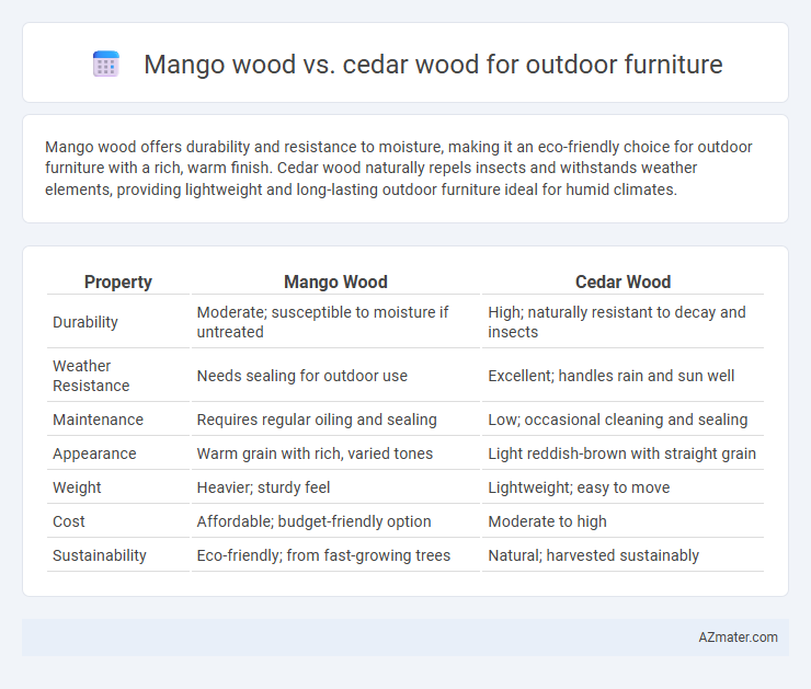 Mango wood vs. cedar wood for outdoor furniture - What is The Difference?