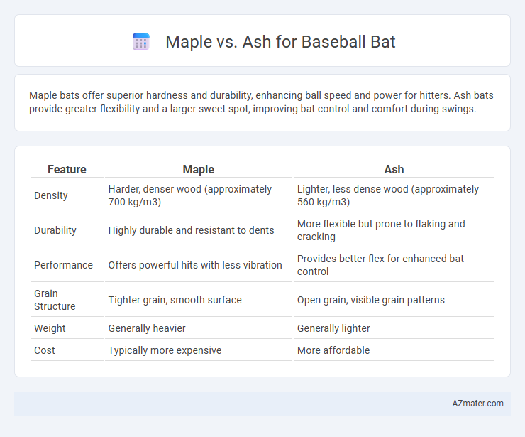 Maple vs. Ash for Baseball Bat - What is The Difference?