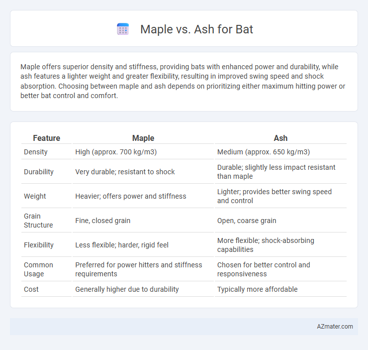 Maple vs. Ash for Bat - What is The Difference?