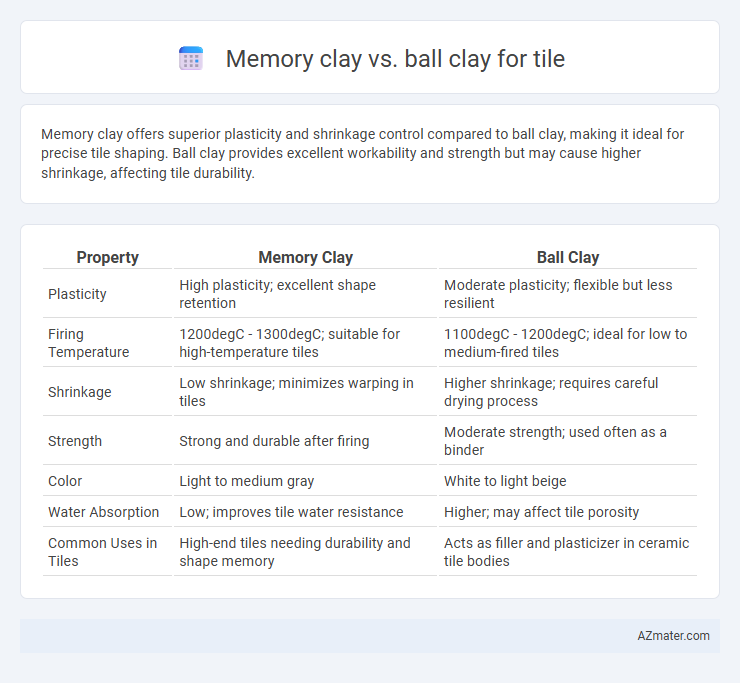 Memory clay vs. ball clay for tile - What is The Difference?