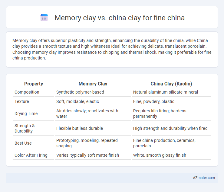 Memory clay vs. china clay for fine china - What is The Difference?