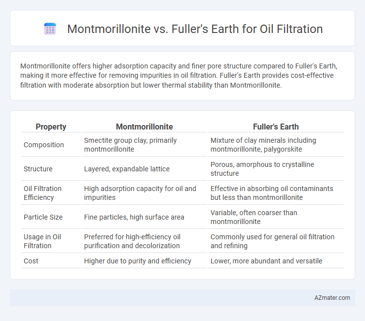 Montmorillonite vs. Fuller's Earth for Oil Filtration - What is The Difference?