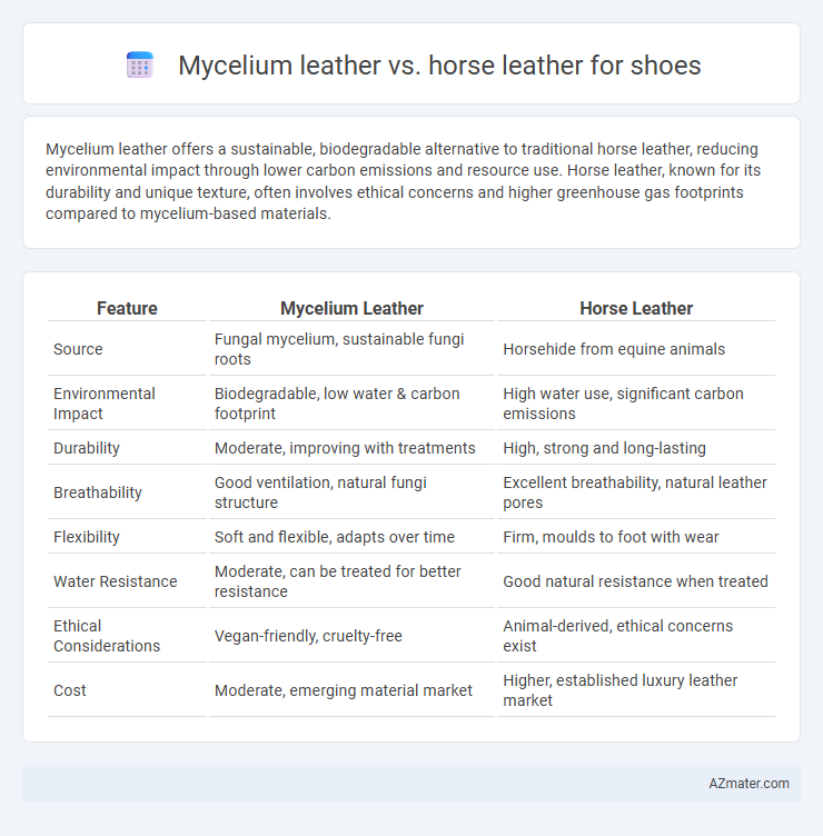 Mycelium leather vs. horse leather for shoes - What is The Difference?