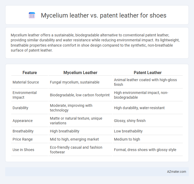 Mycelium leather vs. patent leather for shoes - What is The Difference?