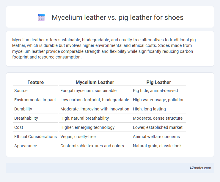 Mycelium leather vs. pig leather for shoes - What is The Difference?