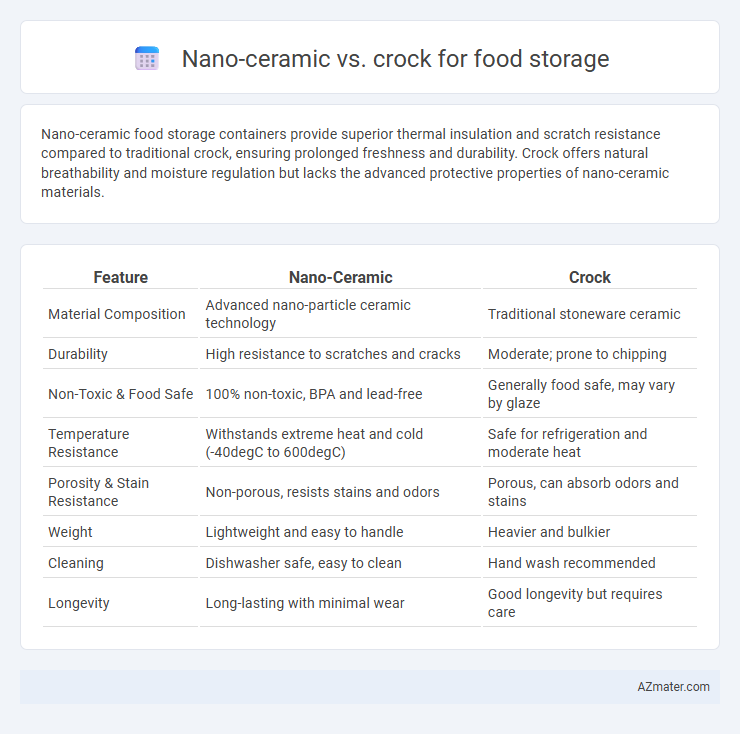 Nano-ceramic vs. crock for food storage - What is The Difference?