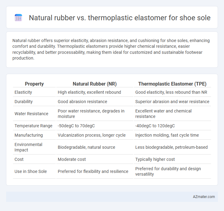 Natural rubber vs. thermoplastic elastomer for shoe sole - What is The Difference?