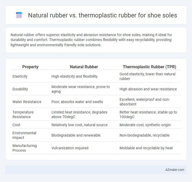 Natural rubber vs. thermoplastic rubber for shoe soles - What is The Difference?