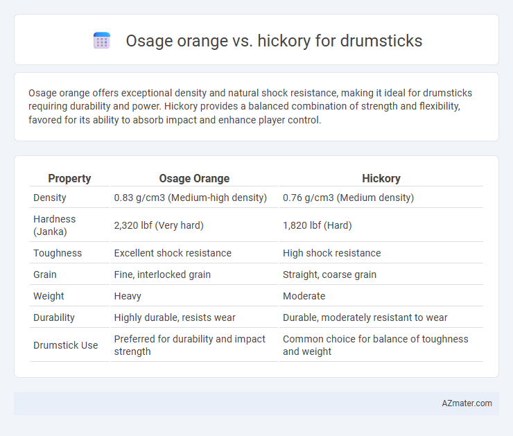 Osage orange vs. hickory for drumsticks - What is The Difference?