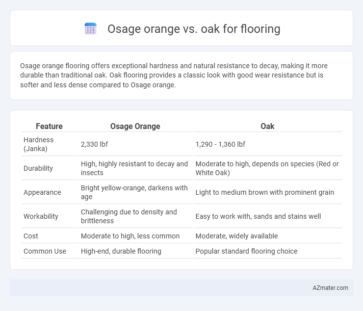 Osage orange vs. oak for flooring - What is The Difference?