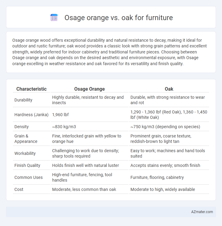 Osage orange vs. oak for furniture - What is The Difference?