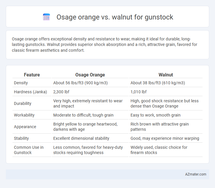 Osage orange vs. walnut for gunstock - What is The Difference?