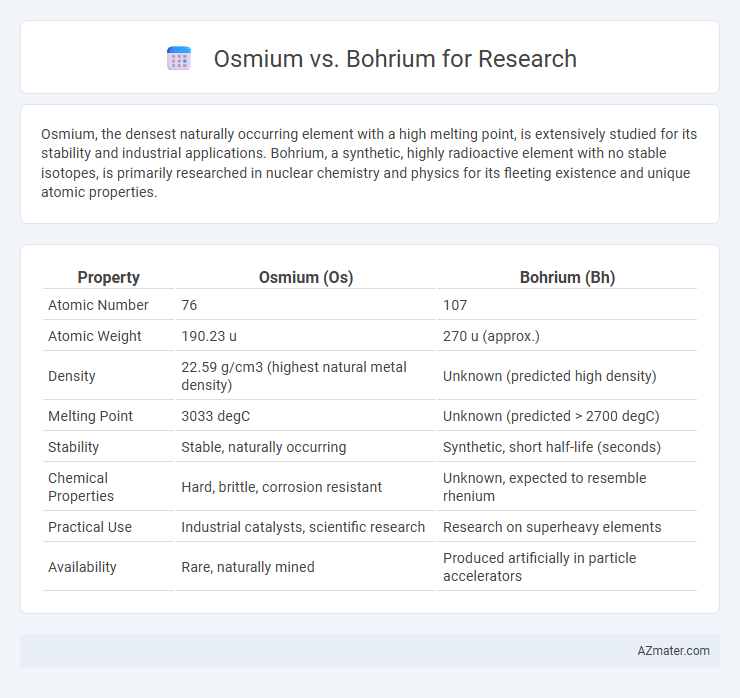 Osmium vs. Bohrium for Research - What is The Difference?