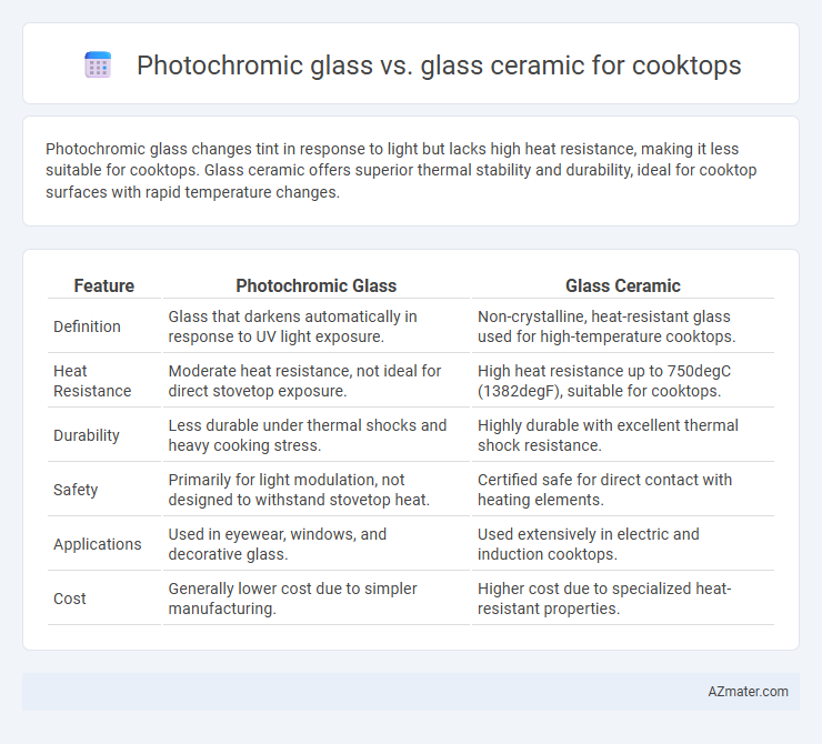 Photochromic glass vs. glass ceramic for cooktops - What is The Difference?