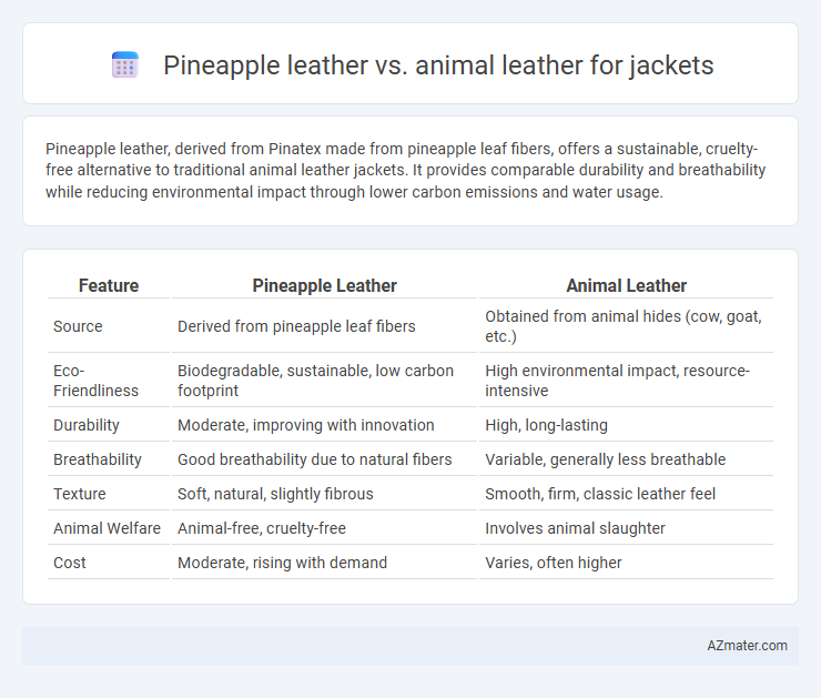 Pineapple leather vs. animal leather for jackets - What is The Difference?