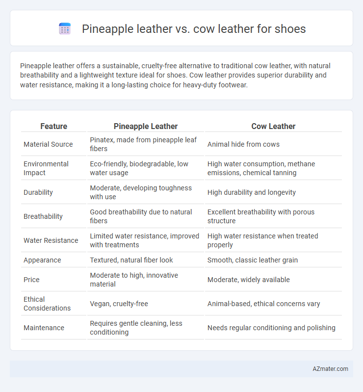 Pineapple leather vs. cow leather for shoes - What is The Difference?