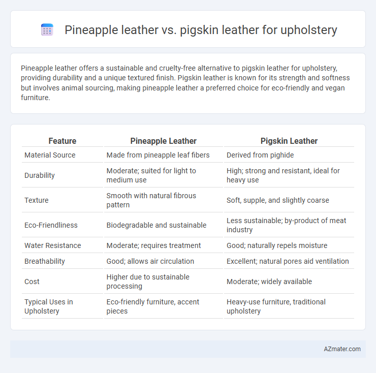 Pineapple leather vs. pigskin leather for upholstery - What is The Difference?