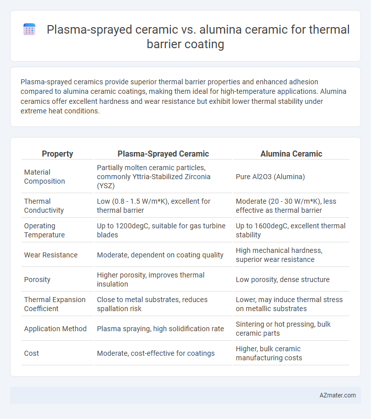 Plasma-sprayed ceramic vs. alumina ceramic for thermal barrier coating - What is The Difference?