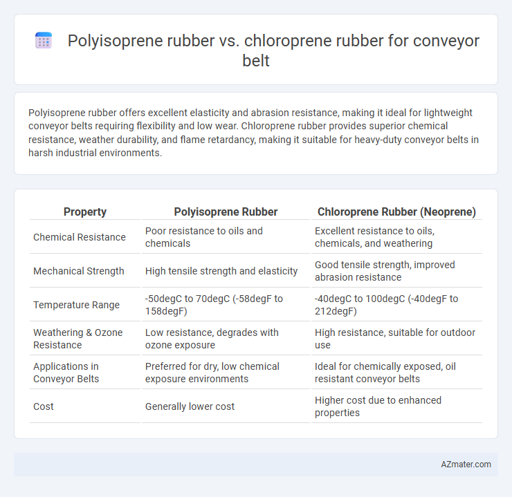 Polyisoprene rubber vs. chloroprene rubber for conveyor belt - What is The Difference?