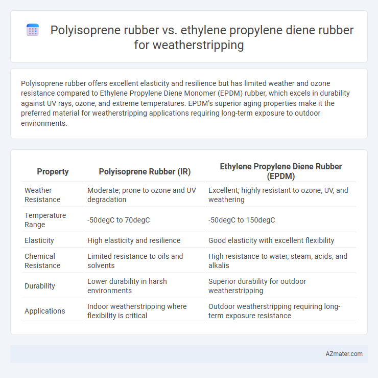 Polyisoprene rubber vs. ethylene propylene diene rubber for weatherstripping - What is The Difference?