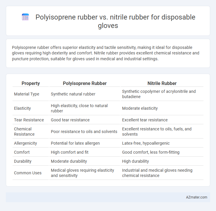 Polyisoprene rubber vs. nitrile rubber for disposable gloves - What is The Difference?