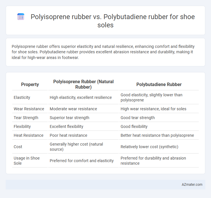 Polyisoprene rubber vs. Polybutadiene rubber for shoe soles - What is The Difference?