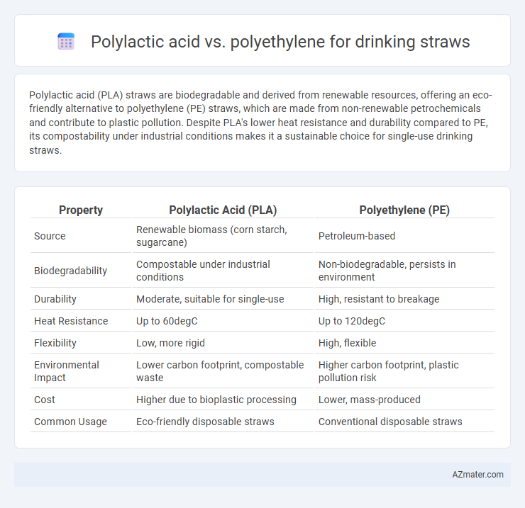 Polylactic acid vs. polyethylene for drinking straws - What is The Difference?