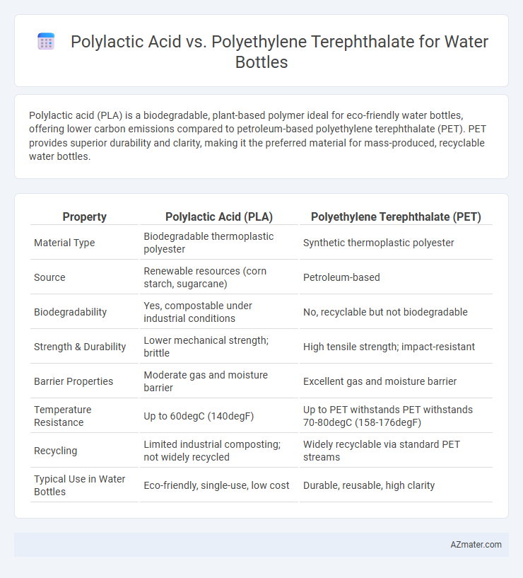 Polylactic Acid vs. Polyethylene Terephthalate for Water Bottles - What is The Difference?