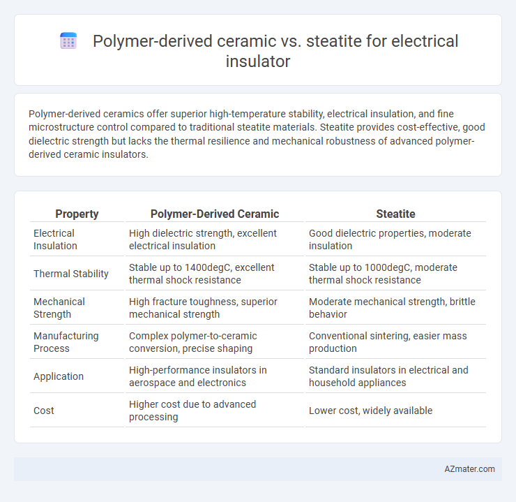 Polymer-derived ceramic vs. steatite for electrical insulator - What is The Difference?