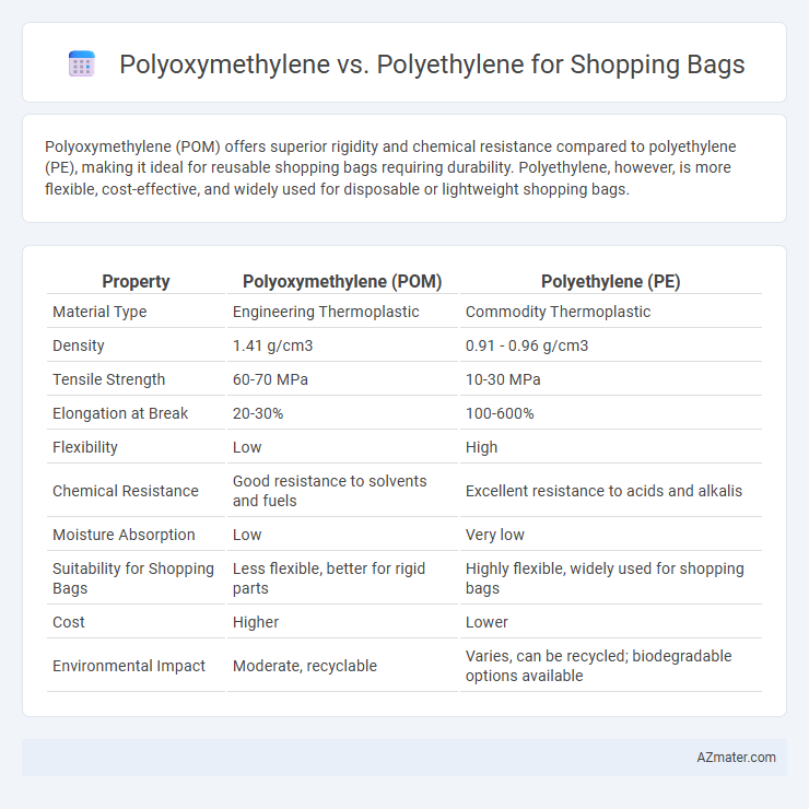 Polyoxymethylene vs. Polyethylene for Shopping Bags - What is The Difference?