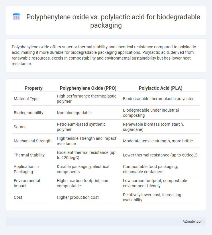 Polyphenylene oxide vs. polylactic acid for biodegradable packaging - What is The Difference?