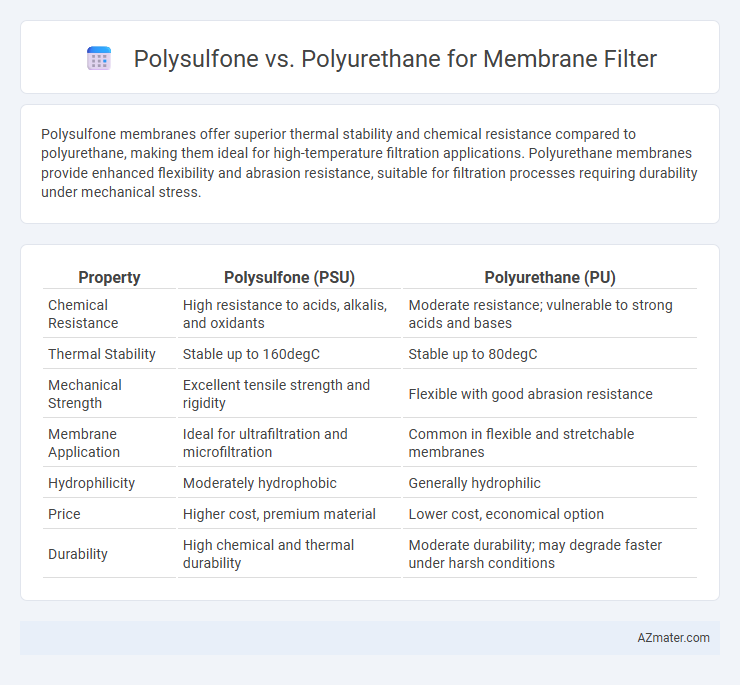 Polysulfone vs. Polyurethane for Membrane Filter - What is The Difference?
