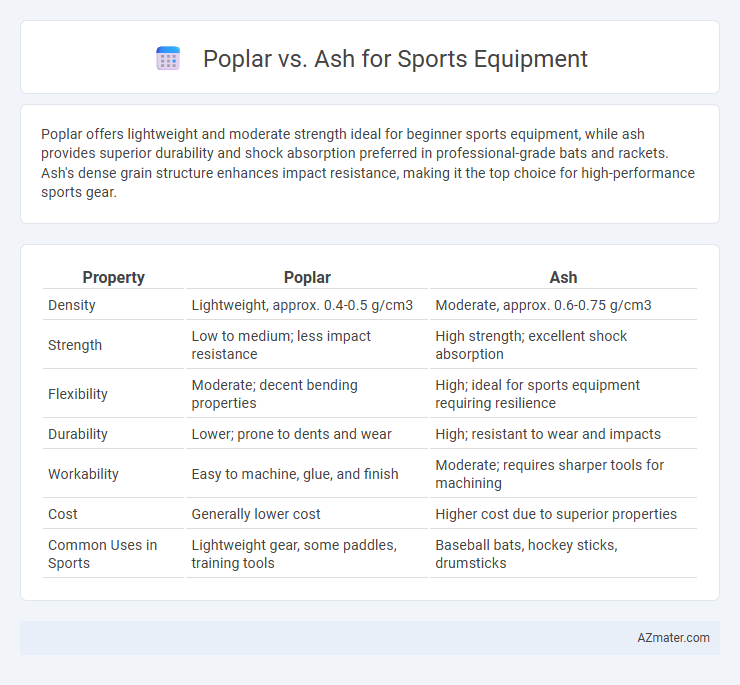 Poplar vs. Ash for Sports Equipment - What is The Difference?