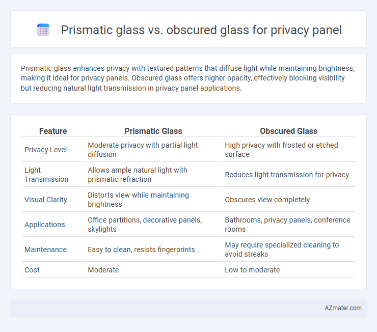 Prismatic glass vs. obscured glass for privacy panel - What is The Difference?