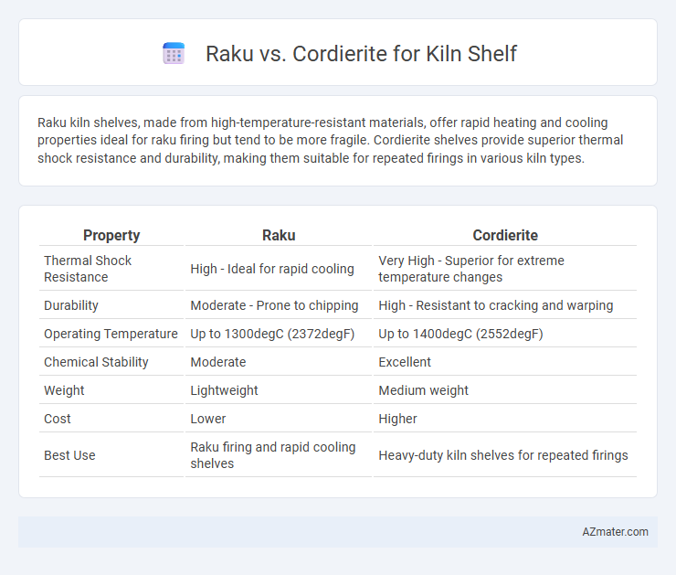 Raku vs. Cordierite for Kiln Shelf - What is The Difference?