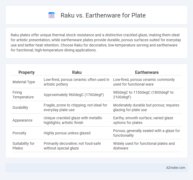 Raku vs. Earthenware for Plate - What is The Difference?
