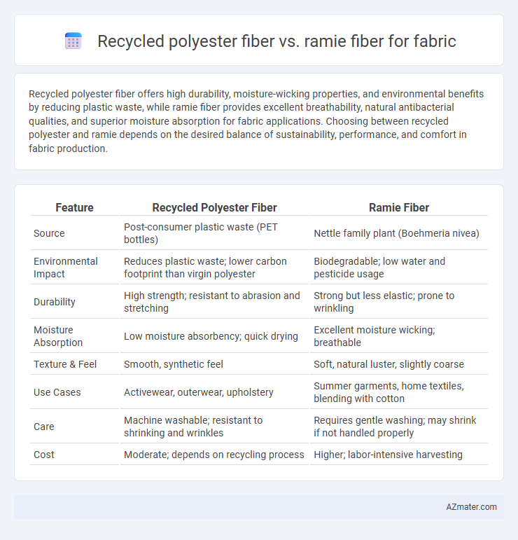 Recycled polyester fiber vs. ramie fiber for fabric - What is The Difference?