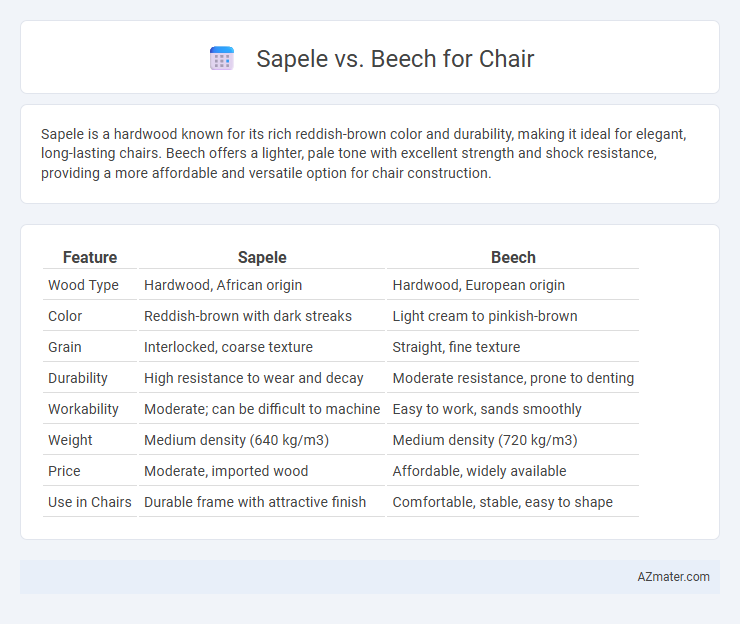 Sapele vs. Beech for Chair - What is The Difference?
